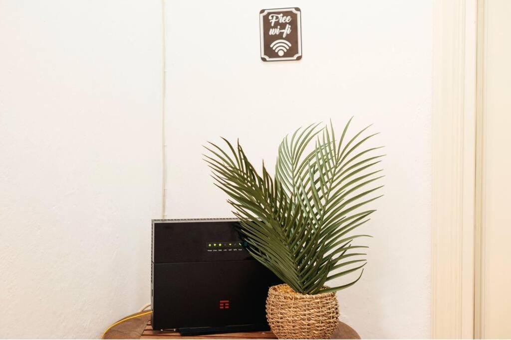 ボローニャThe Attico Chic Urban Free Parkingアパートメント エクステリア 写真
